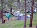Camp in April
